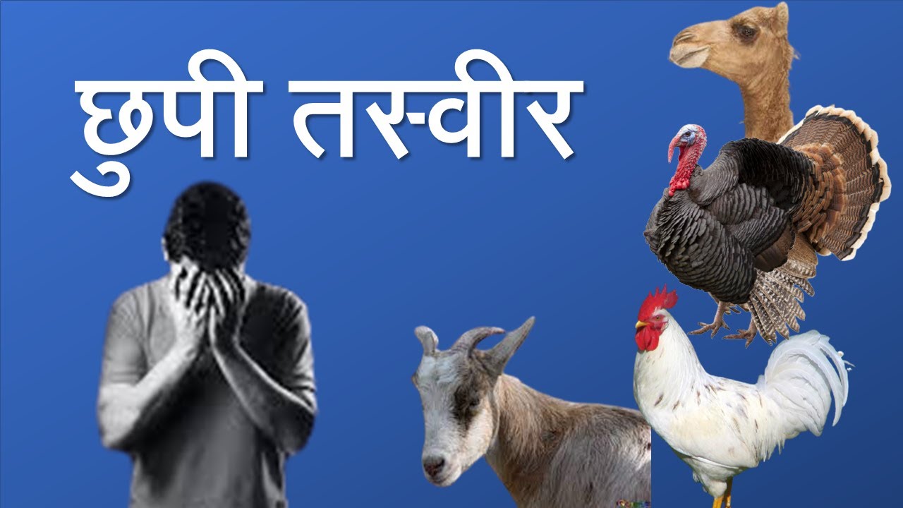 Read more about the article छुपी तस्वीर