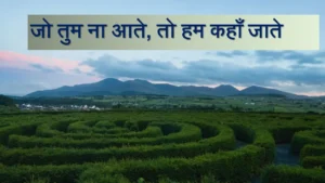 Read more about the article तुम आए